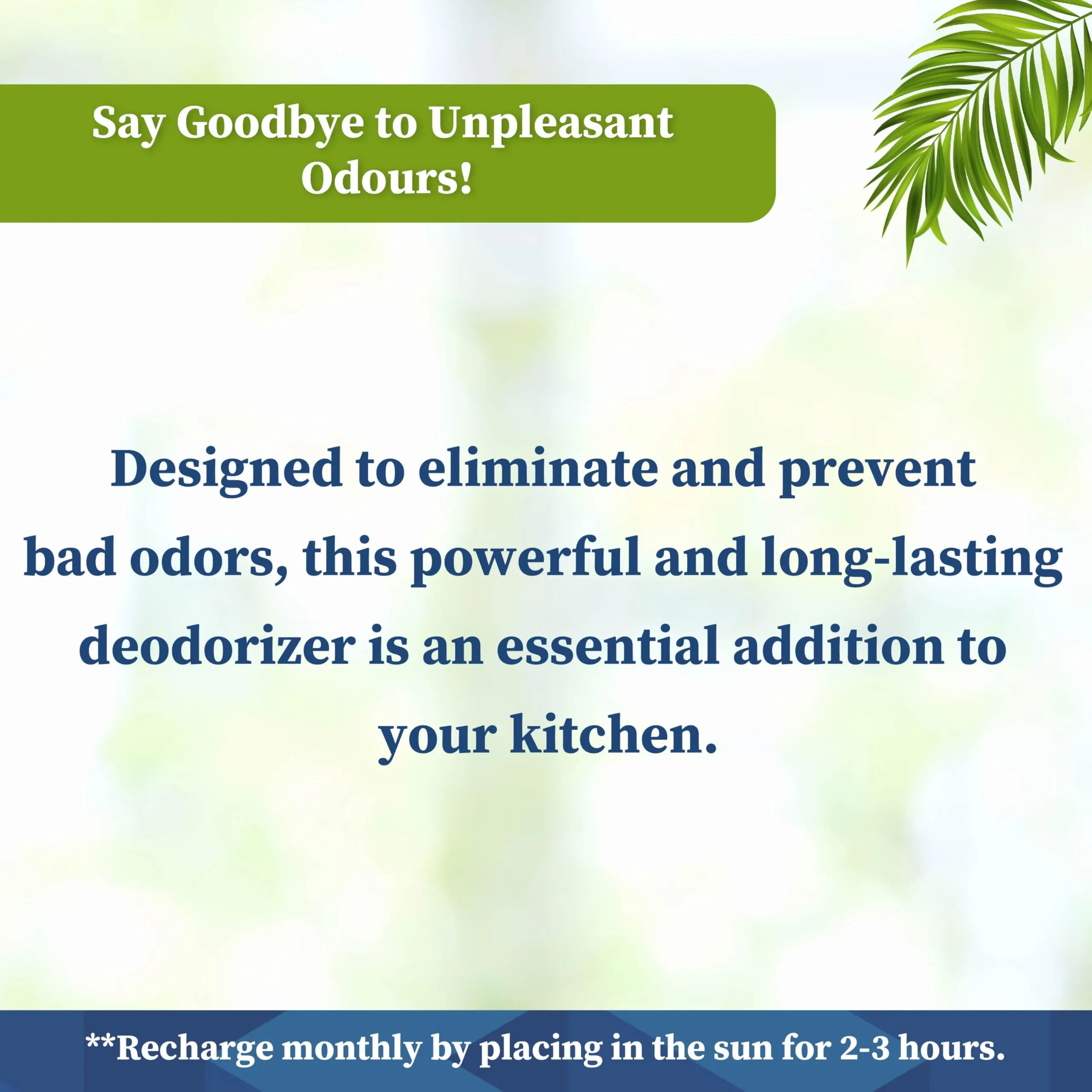 Homestrap (Pack of 1) Coconut Charcoal Fridge Deodorizer 60 Gram | Fresh, Natural Odor Absorber for Your Refrigerator (Fridge| Deodorizer)