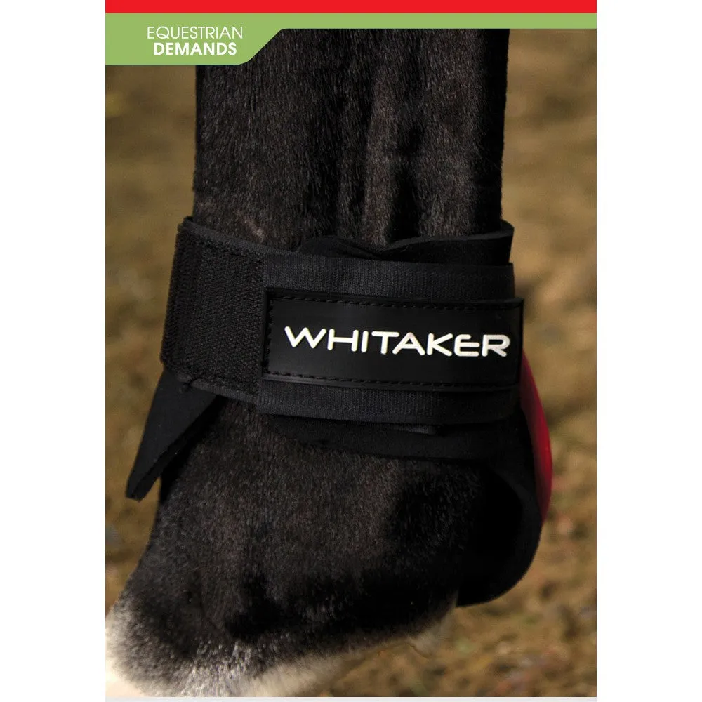 John Whitaker Skipton Tendon and Fetlock Boots - Set of 4