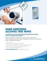 SANITIZER/ Wipes Plus Hand Sanitizing Wipes, pack of 80